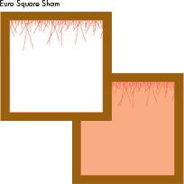 Caelum Shams